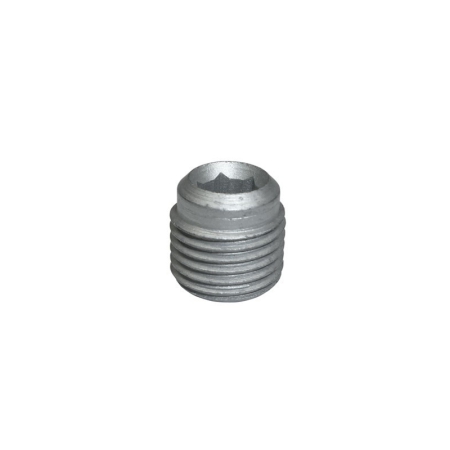 Inbusschroef Ø 21,3 mm (ter vervanging)