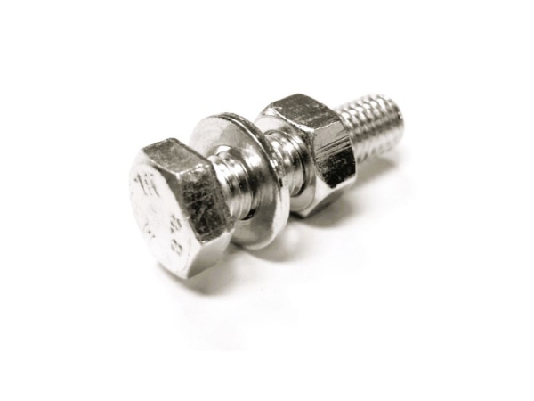 Bout M10 x 40 met ring en moer - rvs